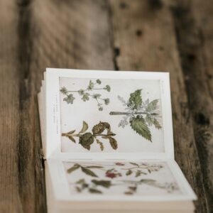 Home tarjeta floral personalizada: flores 3