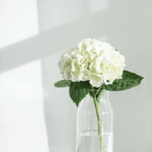 Home arreglo pequeño: noche estrellada